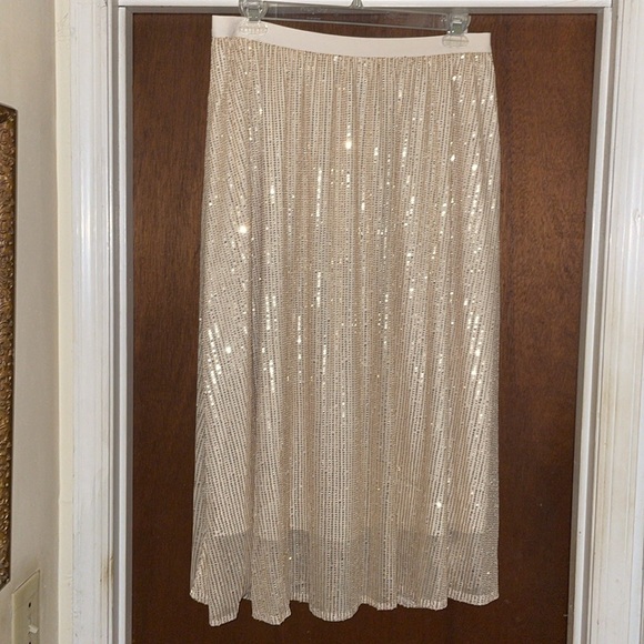 NWOT sequin skirt and matching top. - Picture 3 of 5